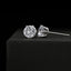 Cubic Zirconia Earrings - 14K White Gold Plated